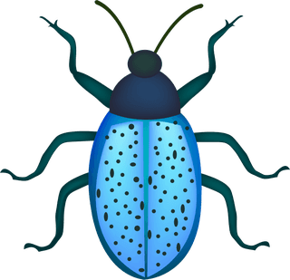 realisticlively-insects-illustration-942258