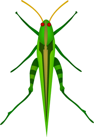 realisticlively-insects-illustration-945204