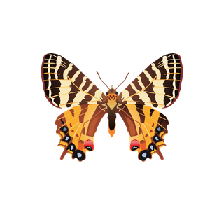 realisticlively-insects-illustration-951966