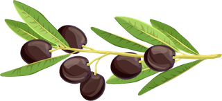 realisticolive-branches-leave-fruit-286228