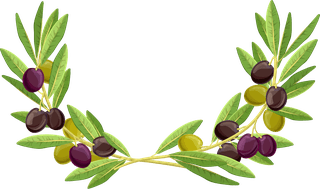 realisticolive-branches-leave-fruit-289563