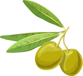 realisticolive-branches-leave-fruit-298255