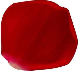 realisticrose-petals-isolated-744436