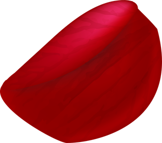 realisticrose-petals-isolated-599474