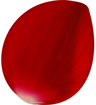 realisticrose-petals-isolated-914719