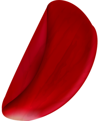 realisticrose-petals-isolated-603582