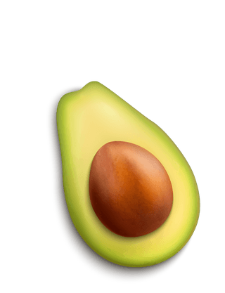 realisticwith-avocado-fruit-oil-sandwich-guacamole-icons-isolated-white-725175