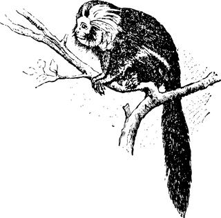 redape-animals-in-several-cultures-this-incredible-animals-appear-in-ancient-art-brands-13819