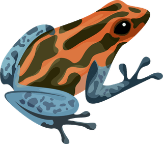 redbacked-poison-frog-animal-education-design-elements-python-frog-iguana-sketch-106207