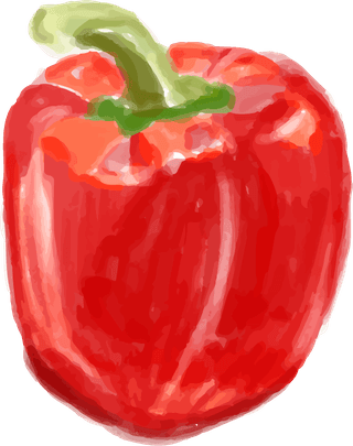 redbell-pepper-hand-drawn-food-ingredients-watercolor-style-633263