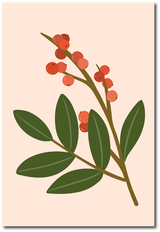 redwinterberry-on-a-blue-vector-flower-cover-907048