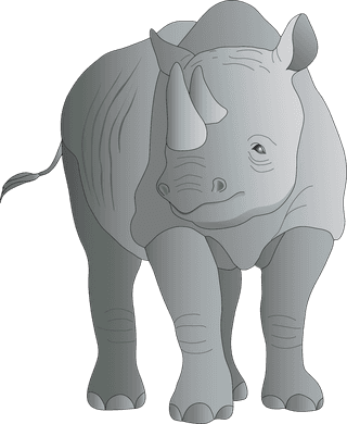 rhinoanimal-models-and-silhouette-vector-898498