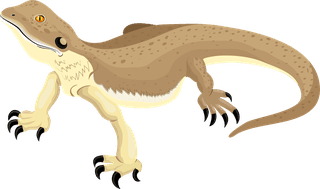 rollinglizard-reptile-species-icons-colored-gecko-salamander-dinosaur-sketch-176626
