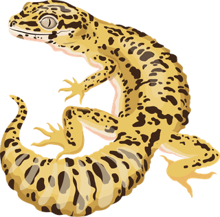 rollinglizard-reptile-species-icons-colored-gecko-salamander-dinosaur-sketch-557061