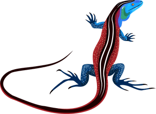 rollinglizard-reptile-species-icons-colored-gecko-salamander-dinosaur-sketch-106173