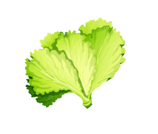 saladpile-fresh-vegetables-fruits-26110