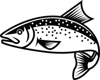 salmonfree-rainbow-trout-vector-for-your-needed-877811