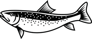 salmonfree-rainbow-trout-vector-for-your-needed-559073