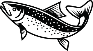 salmonfree-rainbow-trout-vector-for-your-needed-978993