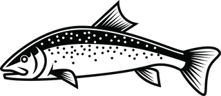 salmonfree-rainbow-trout-vector-for-your-needed-868873