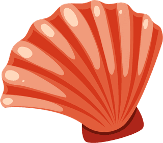 scallopsdifferent-types-of-seashells-on-white-background-illustration-74698