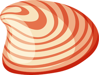 scallopsdifferent-types-of-seashells-on-white-background-illustration-286710
