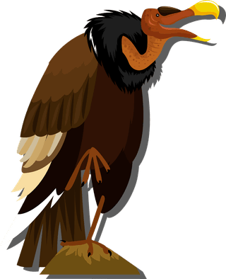 scavengerbird-birds-species-icons-eagle-toucan-stork-vulture-sketch-880771