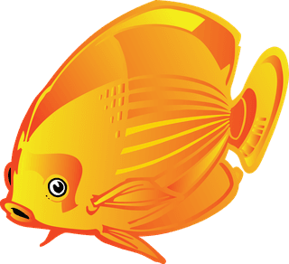 seafish-beautiful-underwater-fish-vector-604646
