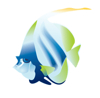 seafish-beautiful-underwater-fish-vector-127119