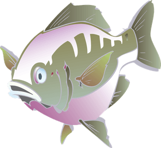 seafish-beautiful-underwater-fish-vector-512740