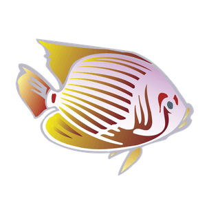 seafish-beautiful-underwater-fish-vector-720559