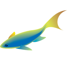 seafish-beautiful-underwater-fish-vector-129767