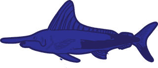 seafish-cartoon-dolphin-23403