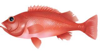 seafish-marine-fish-vector-15445