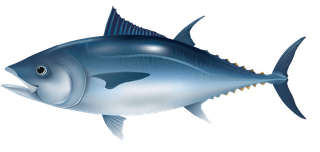 seafish-marine-fish-vector-581683