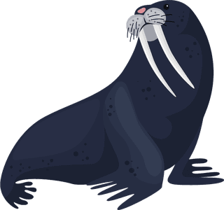 sealion-polar-animals-icons-cute-cartoon-sketch-473460