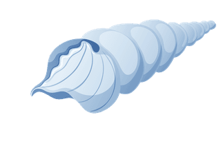seasnails-a-set-of-blue-seashell-illustration-474062