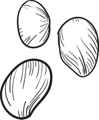 seasnails-hand-drawing-nautical-elements-illustration-collection-142742