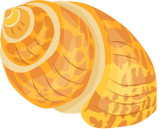 seasnails-marine-species-icons-shell-starfish-coral-sketch-673673