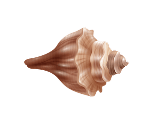 seasnails-seashell-realistic-set-762357