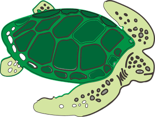 seaturtle-cartoon-dolphin-406278