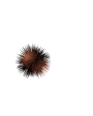 seaurchin-seashell-realistic-set-645819