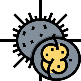 seaurchins-seafood-thin-line-and-pixel-perfect-icons-106887