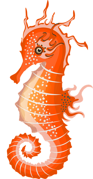seahorsesseahorse-icons-collection-colorful-cartoon-sketch-489345