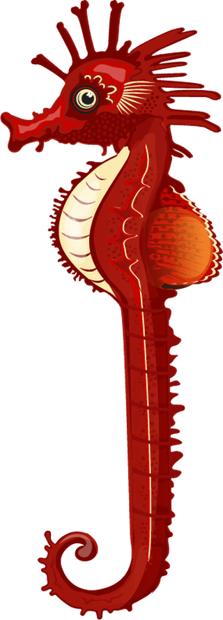 seahorsesseahorse-species-icons-collection-multicolored-cartoon-design-607914