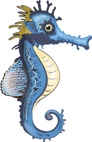 seahorsesseahorse-species-icons-collection-multicolored-cartoon-design-413098