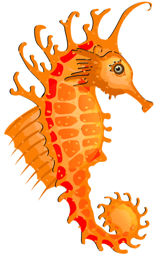 seahorsesseahorse-species-icons-collection-multicolored-cartoon-design-929857