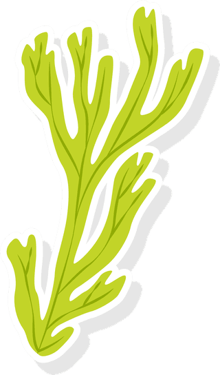 seaweedcolorful-sea-weed-collections-hand-drawn-vector-illustration-764384