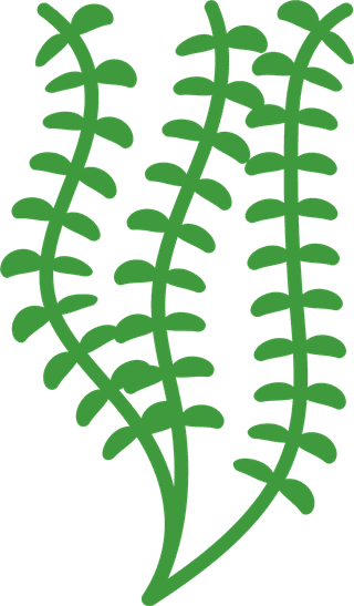 seaweedoceanic-plants-perfect-set-for-any-other-kind-of-design-layered-fully-editable-contains-312982