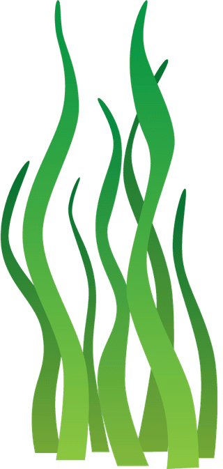 seaweedsea-animals-vector-set-113396